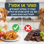 מותר או אסור? המדריך המלא למאכלים של בני אדם שכלבים יכולים לאכול (ומה ממש מסוכן)